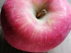 -成都泰迪熊博物馆