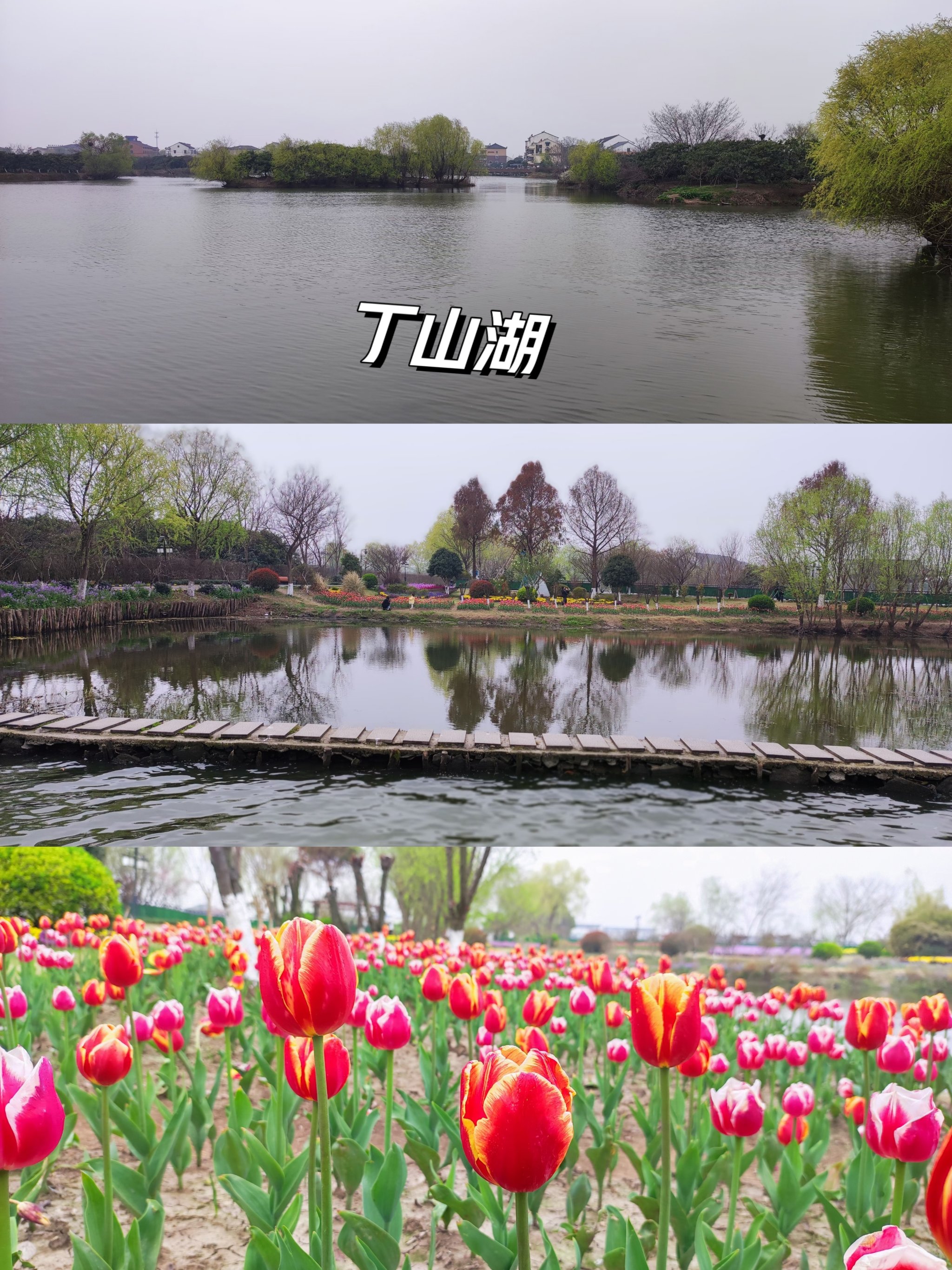 杭州丁山湖风景区简介图片