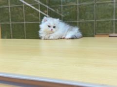 -首开·龙湖成都西宸天街