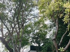 -三亚太阳湾柏悦酒店