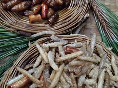 -昆虫窝子·特色云南菜(拓东路总店)