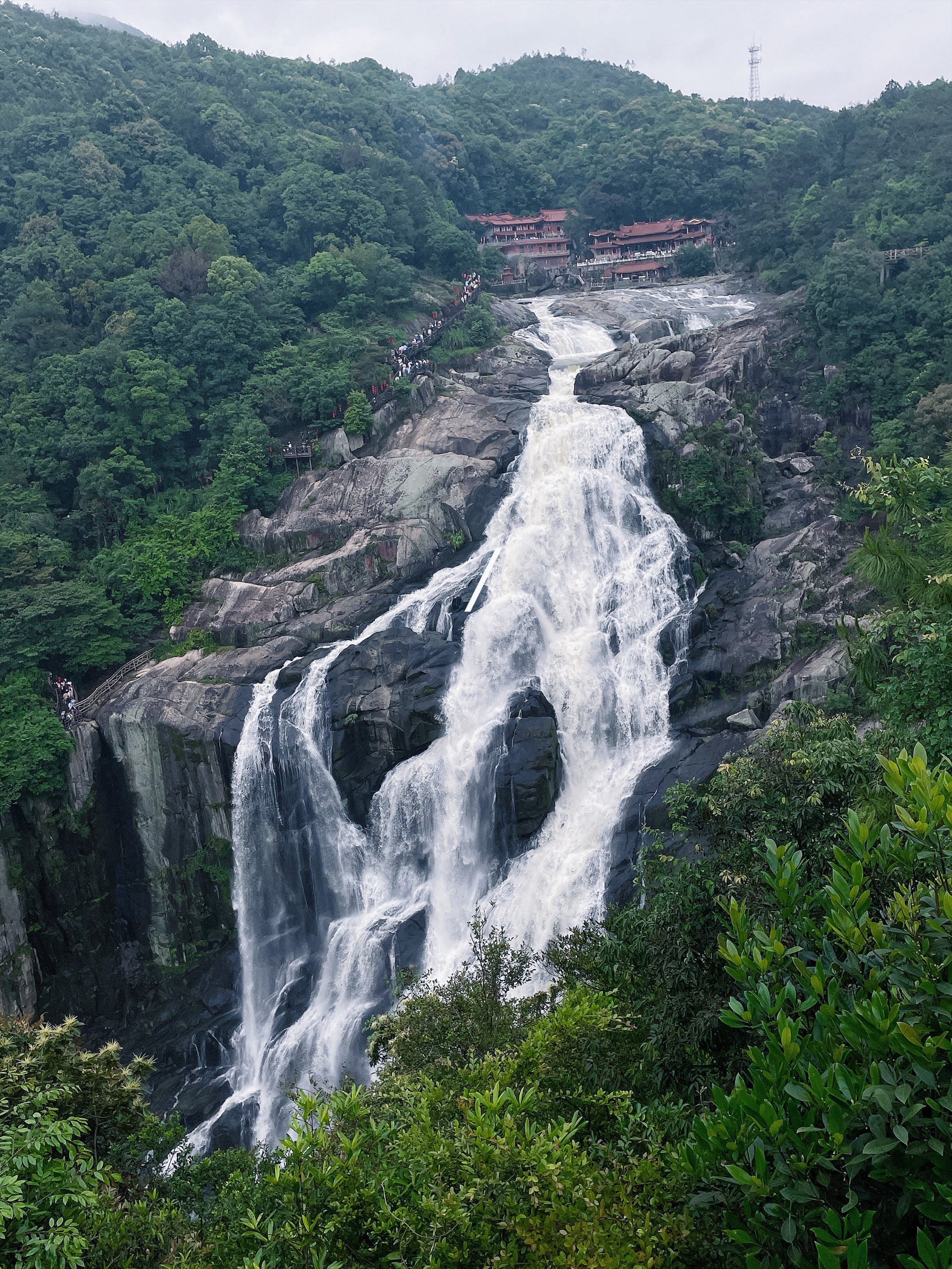 观音桥鲤鱼池图片