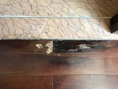 -天津津利华酒店