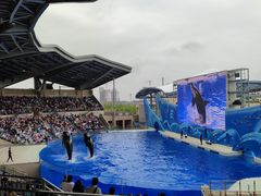 -上海海昌海洋公园