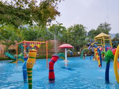 -苏州乐园森林水世界