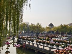 -中国翰园碑林