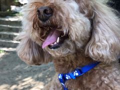 -碓臼峪自然风景区