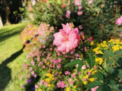 -人民公园(罗湖区)