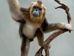 -国家自然博物馆