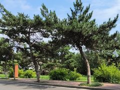 -老虎石海上公园