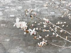 -东华门大街小区