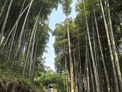 -莫干山风景区