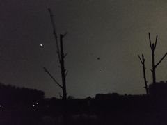 -青山公园萤火虫科普展
