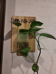 -青青一生美皮肤管理