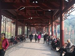 -重庆彩云湖湿地公园