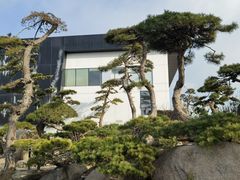 -罗红摄影艺术馆