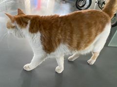 -湘邻呷铺·田园家宴(汉基广场店)