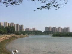 -丁香湖公园