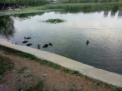 -前关湿地公园