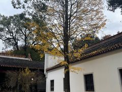 -岳麓山风景名胜区