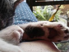 android_upload_pic-MIKAKU(万达广场上海宝山店)