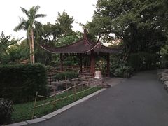 -晓港公园