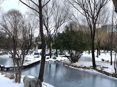 -郑东新区湿地公园