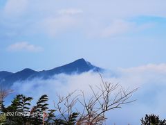 -武陵山森林公园