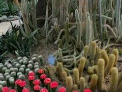 -南山植物园
