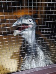 -酷嗒动物文化乐园(cutezoo西溪乐天城店)