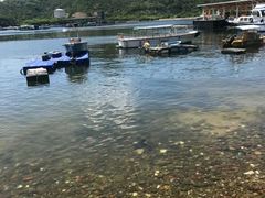 -南丫岛