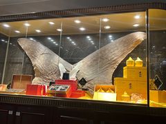 -半岛翡丽海鲜自助餐厅(观风亭店)