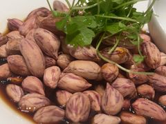 -同庆楼(滨湖万达广场店)