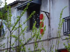 -江南第一家