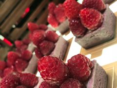 -味餐厅·海鲜·火锅·自助餐