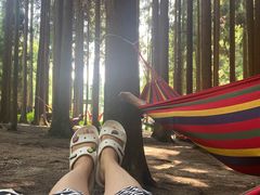 -武陵山森林公园