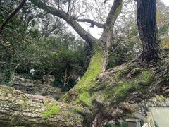 -汇龙潭