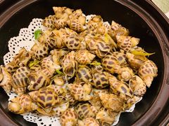 海螺-雅盛品931海鲜酒家