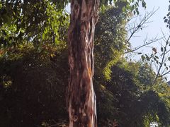-一寨两国风景区