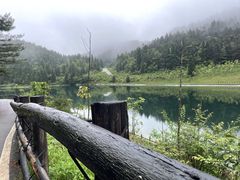 -武陵山森林公园