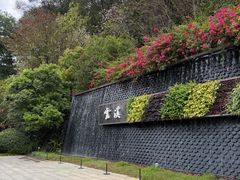 -云溪植物园