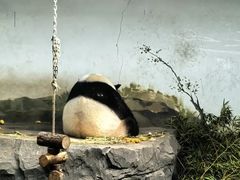 -南京金牛湖风景区