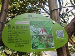 -广州神农草堂中医药博物馆