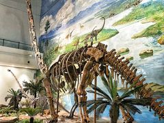 -自贡恐龙博物馆