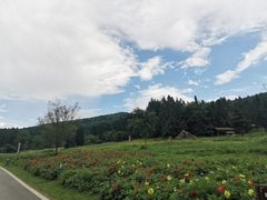 -武陵山森林公园