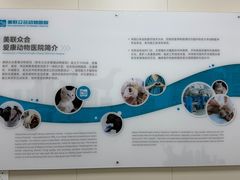 -美联众合爱康动物医院•复杂内科•肿瘤科•牙科•腔镜诊疗中心