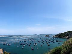 -枸杞岛