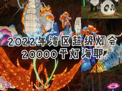 -欢乐海岸椰林沙滩-2025湾区超级灯会