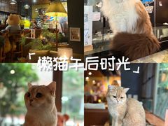 -咖法森林·咖啡  酒吧(天河店)