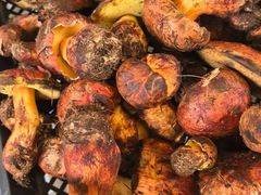 -菌之家·专业纯野生菌火锅·特色炒菌